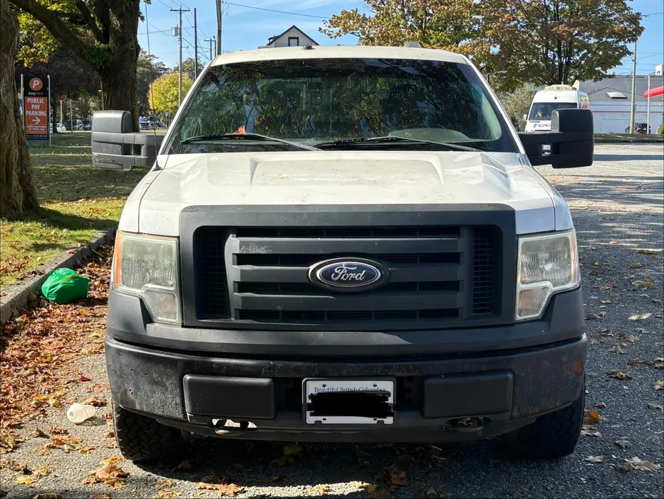 Ford F-150 2010 photo 3