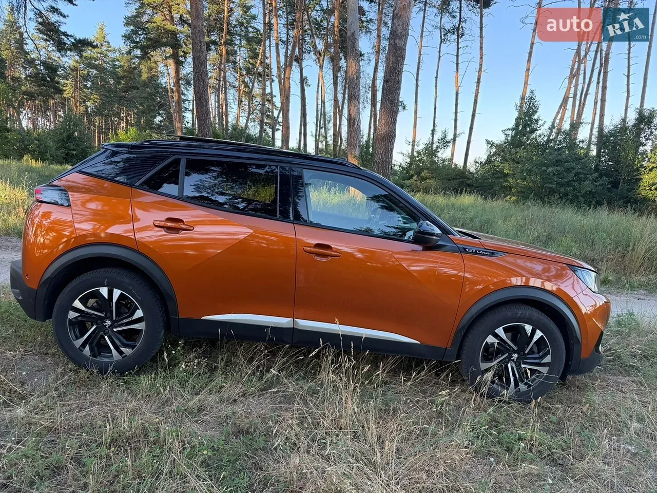Peugeot 2008 2020 photo 3