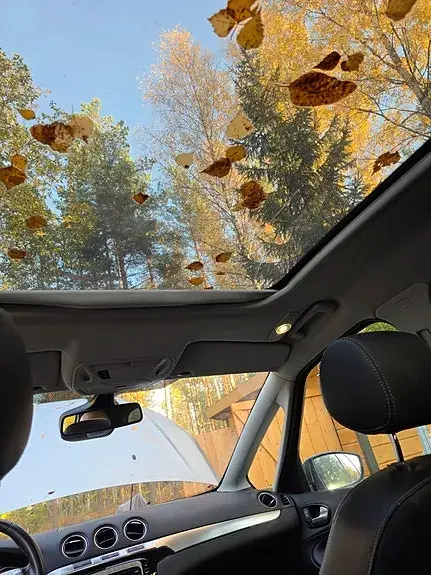Ford S-Max 2011 photo 5