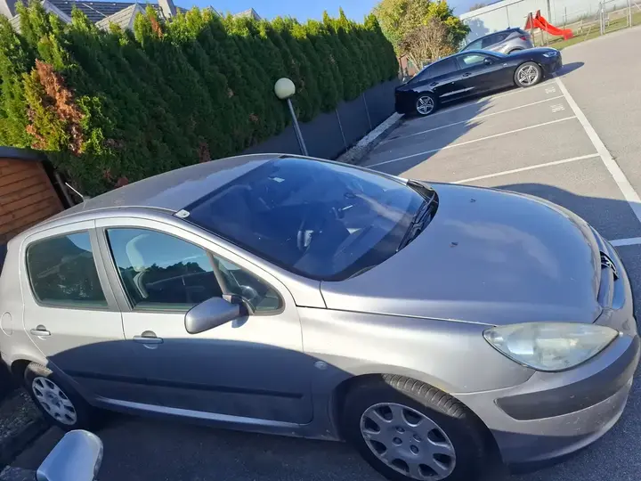Peugeot 307 2001 photo 3
