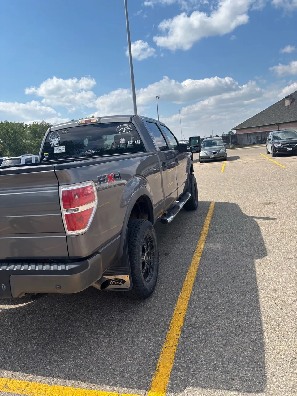 Ford F-150 2009 photo 3