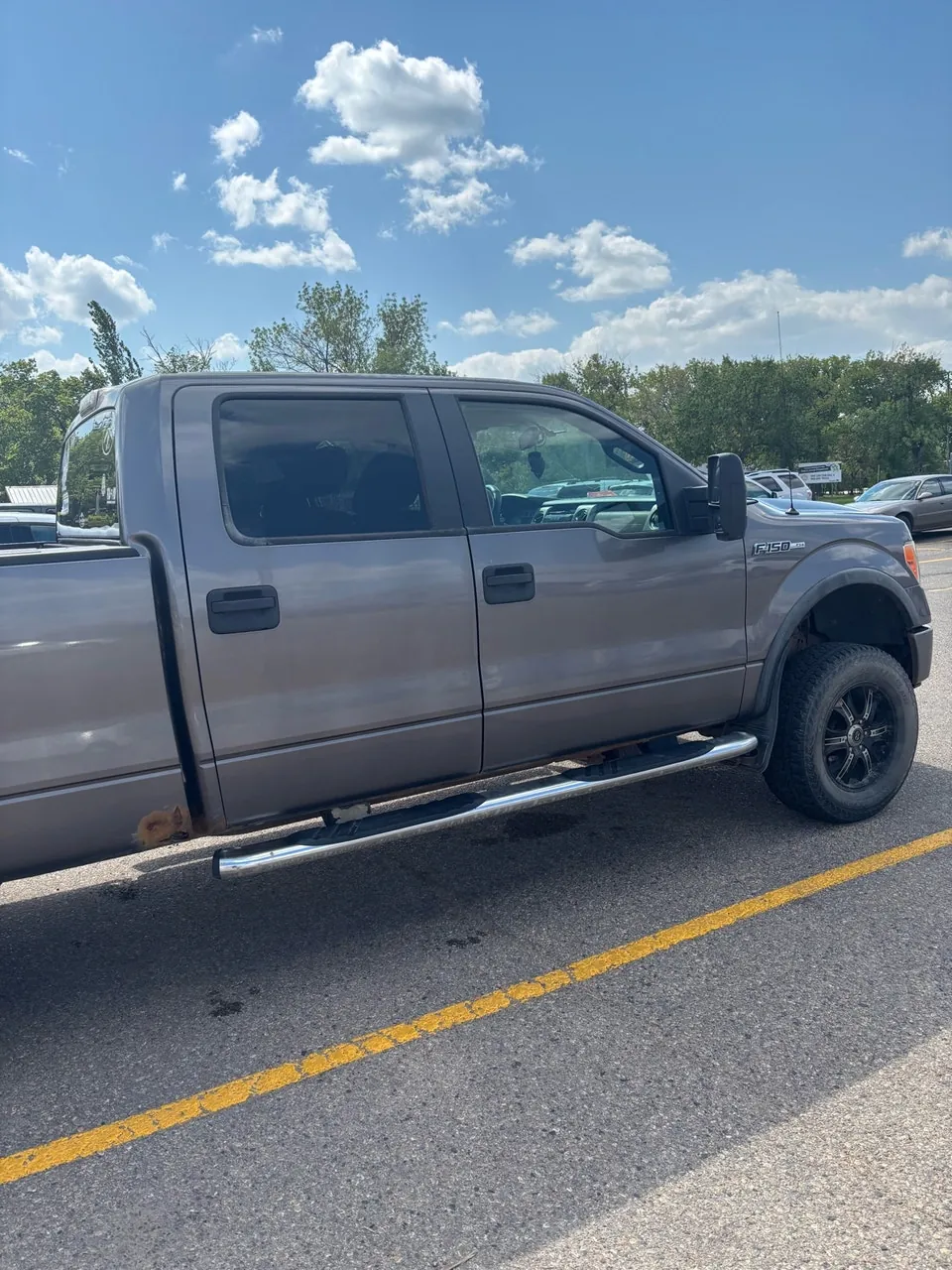 Ford F-150 2009 photo 2