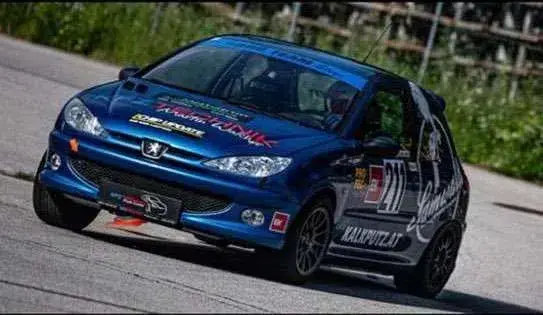 Peugeot 206 2004 photo 2