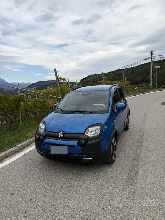 Fiat Panda 2024 photo 2