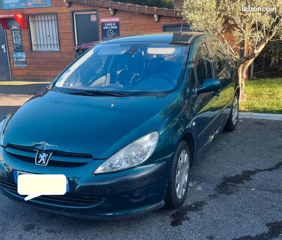 Peugeot 307 2004 photo 2