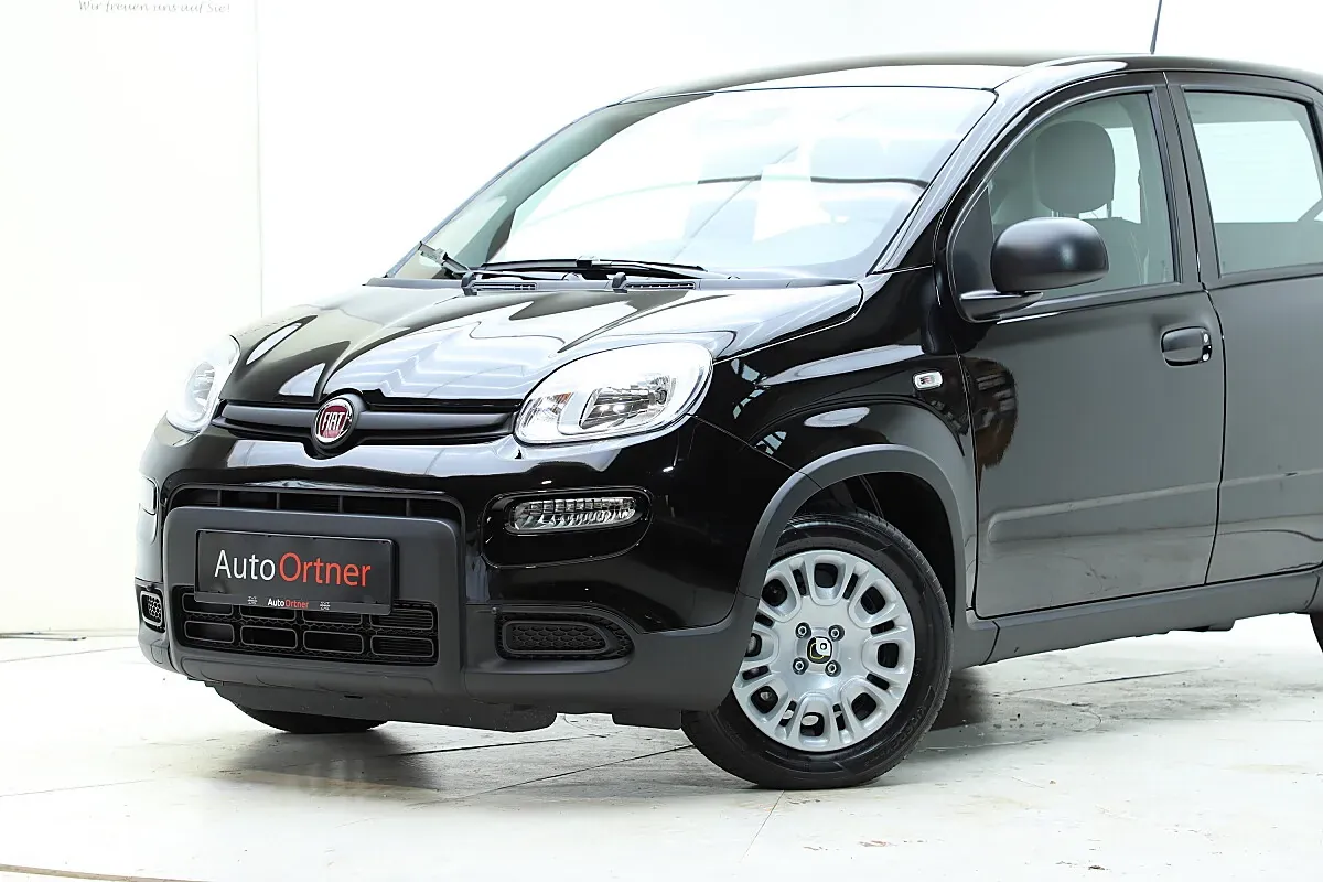 Fiat Panda 2024 photo 2