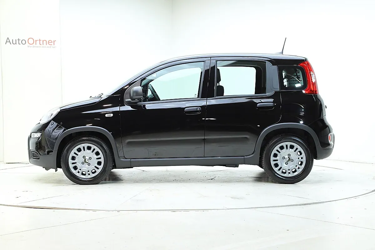 Fiat Panda 2024 photo 3