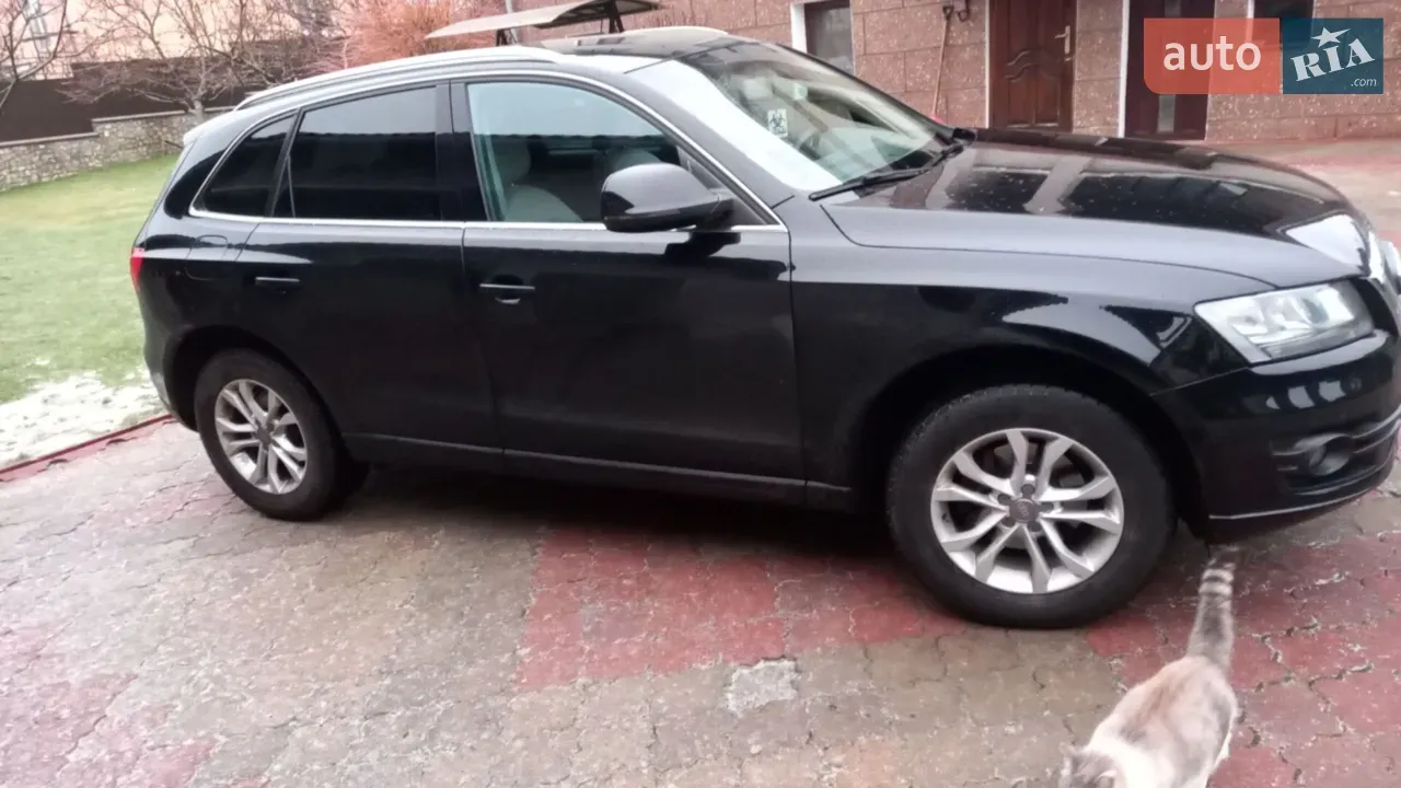 Audi Q5 2010 photo 3