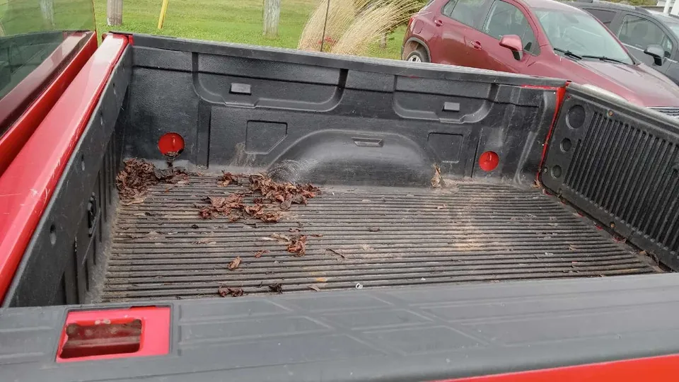 GMC Sierra 1500 2010 photo 5