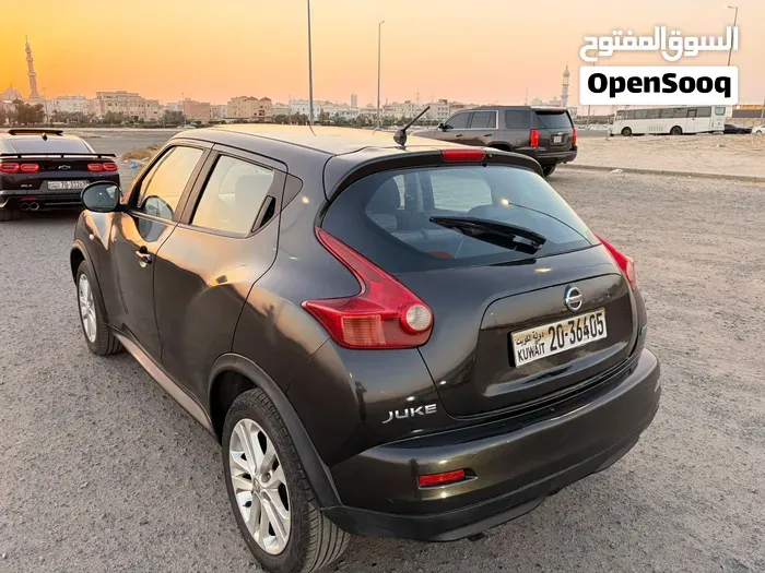 Nissan Juke 2013 photo 2