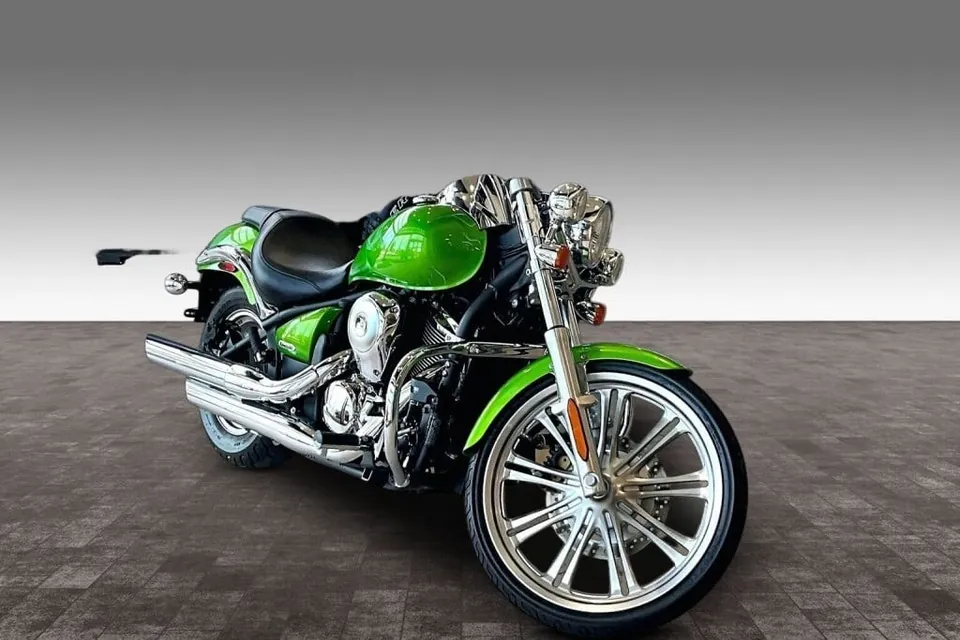 Harley-Davidson Vulcan 900 Custom 2008 photo 2