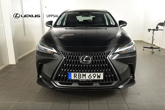 Lexus Nx450H+ 2024 photo 5