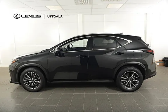 Lexus Nx450H+ 2024 photo 3