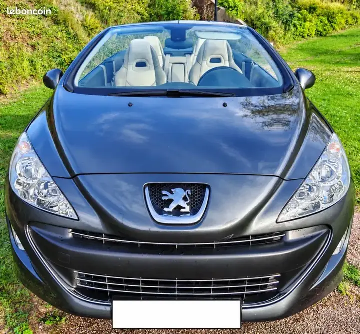 Peugeot 308 2010 photo 2