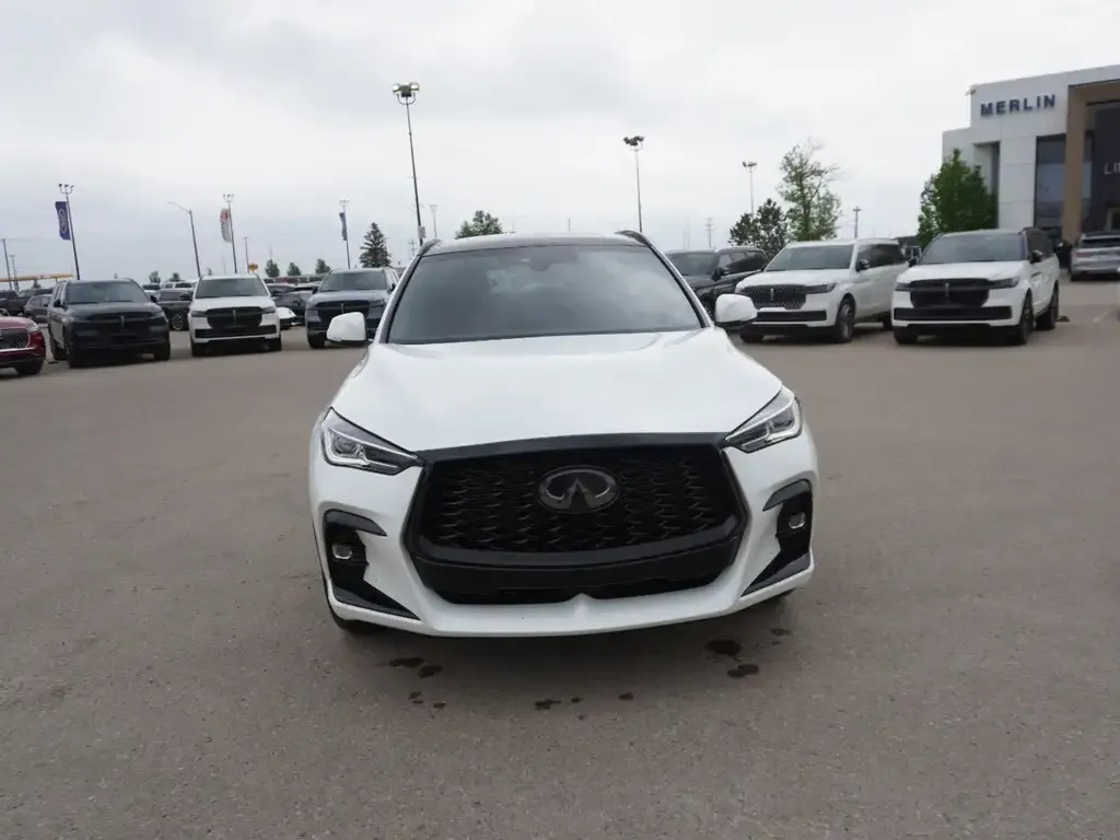 Infiniti Qx50 2025 photo 3