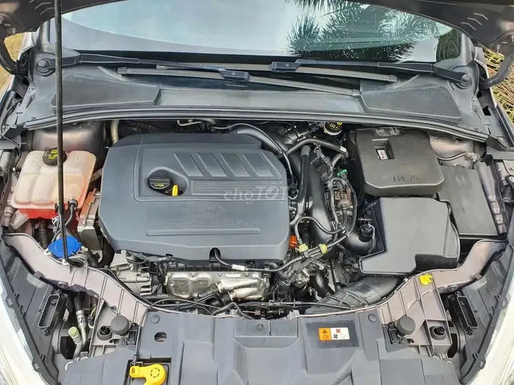 Ford Focus 2019 photo 3