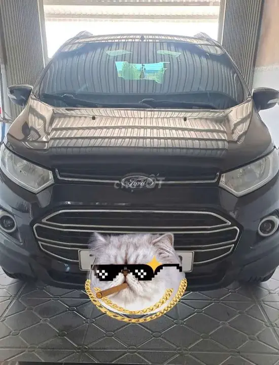 Ford Ecosport 2017 photo 2