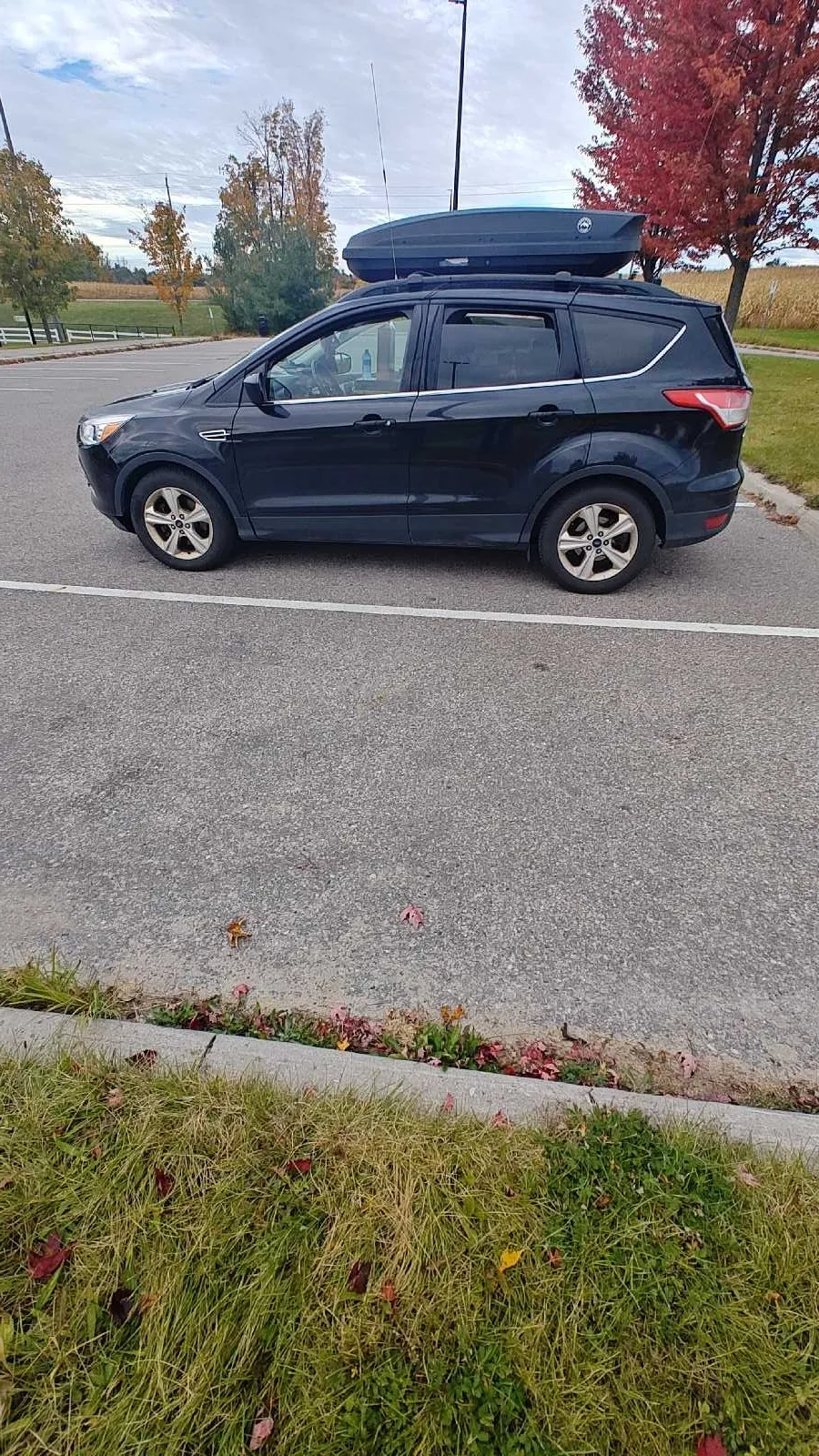 Ford Escape 2015 photo 3