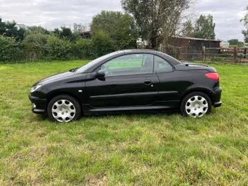 Peugeot 206 2003 photo 2