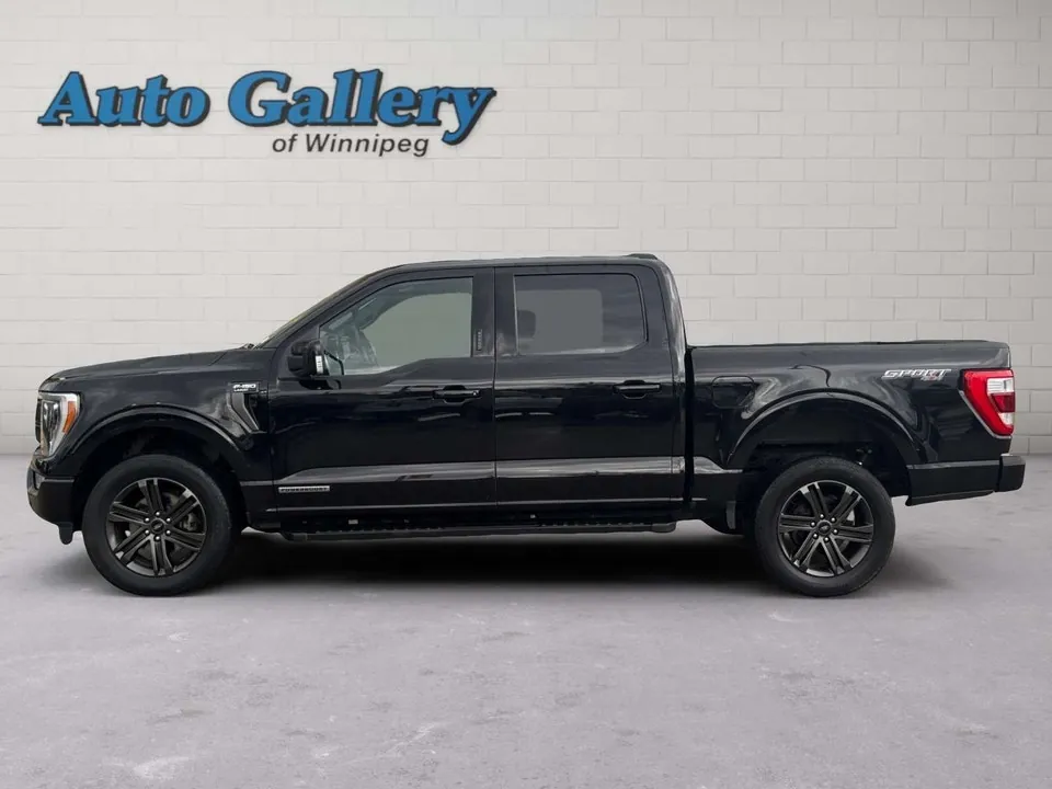 Ford F-150 2022 photo 2