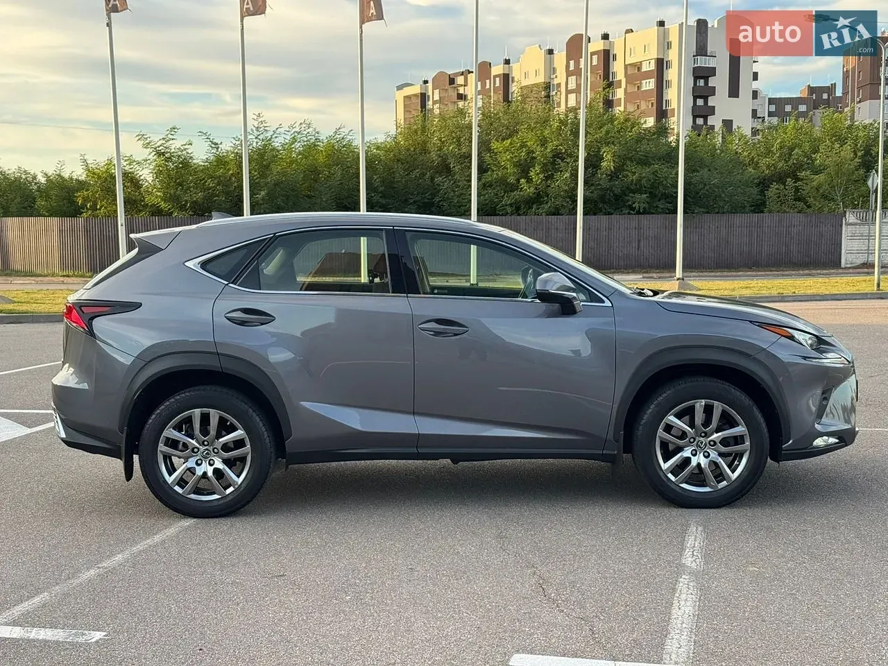 Lexus Nx 2019 photo 4