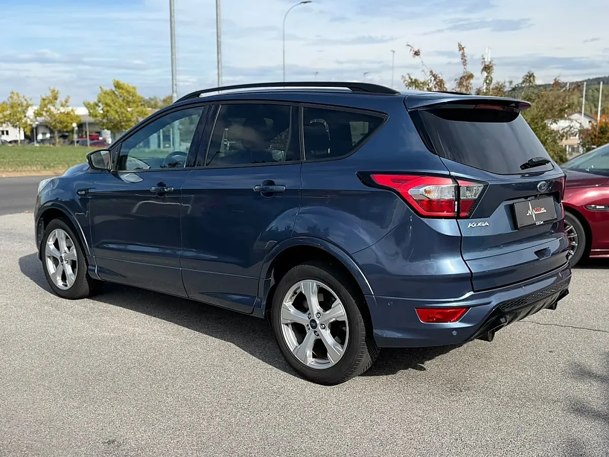 Ford Kuga 2019 photo 3