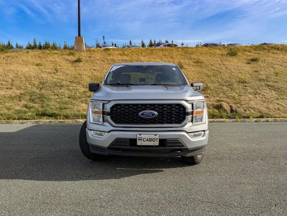 Ford F-150 2021 photo 3