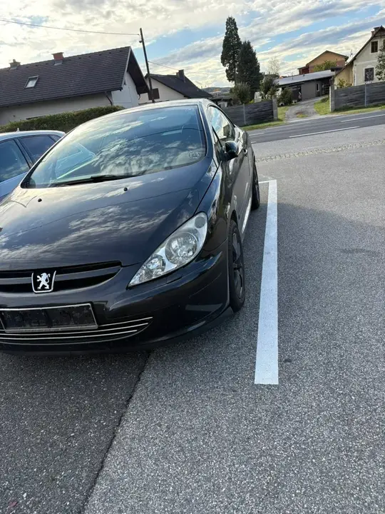 Peugeot 307 2003 photo 2