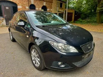 Seat Ibiza 2011 photo 2