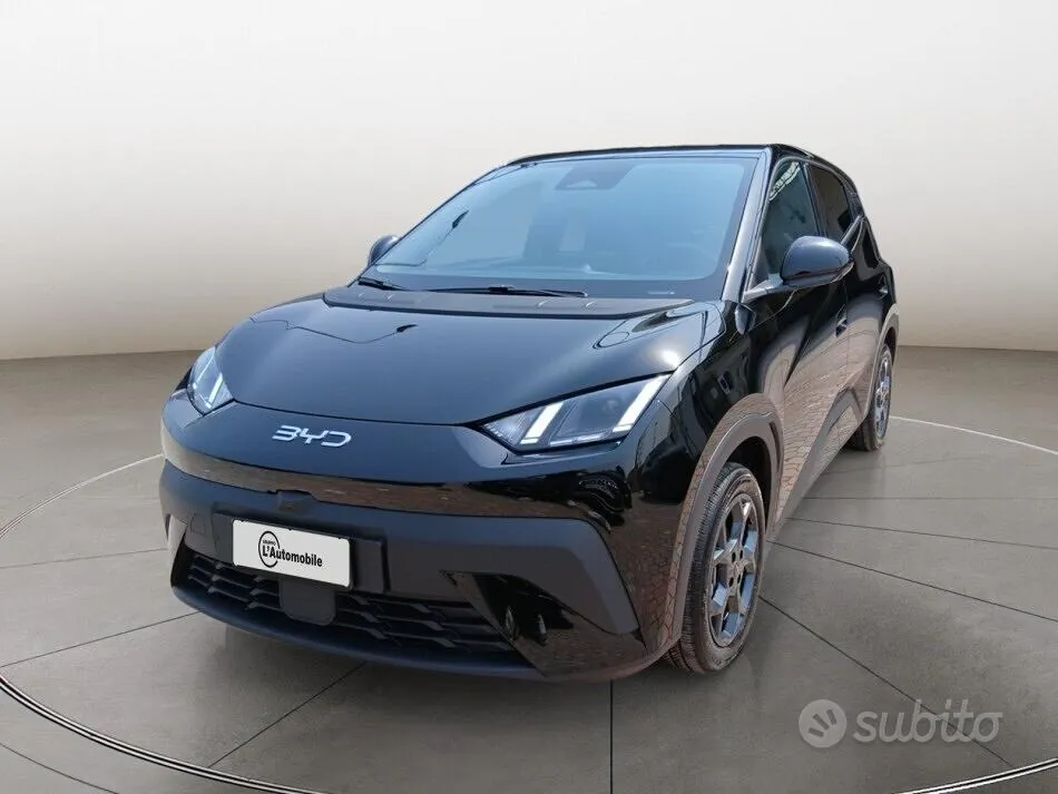 BYD Dolphin Surf