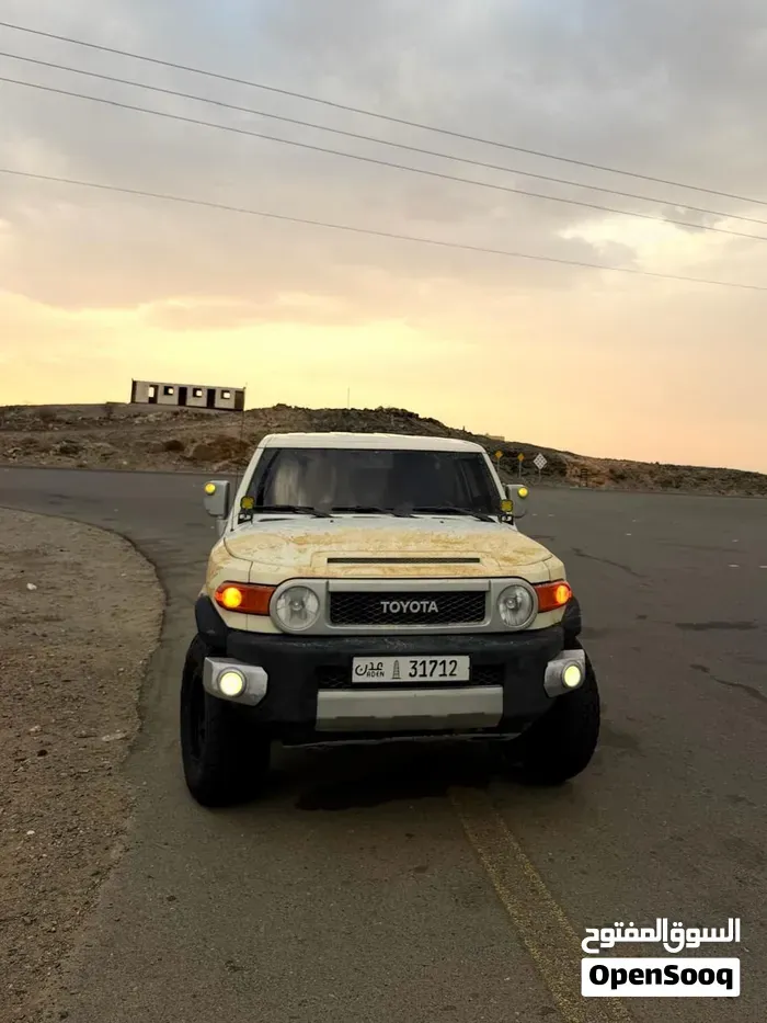 Toyota Fj Cruiser 2010 photo 2