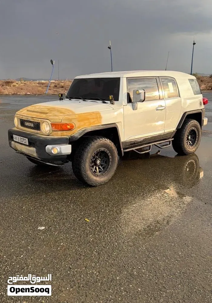 Toyota Fj Cruiser 2010 photo 3