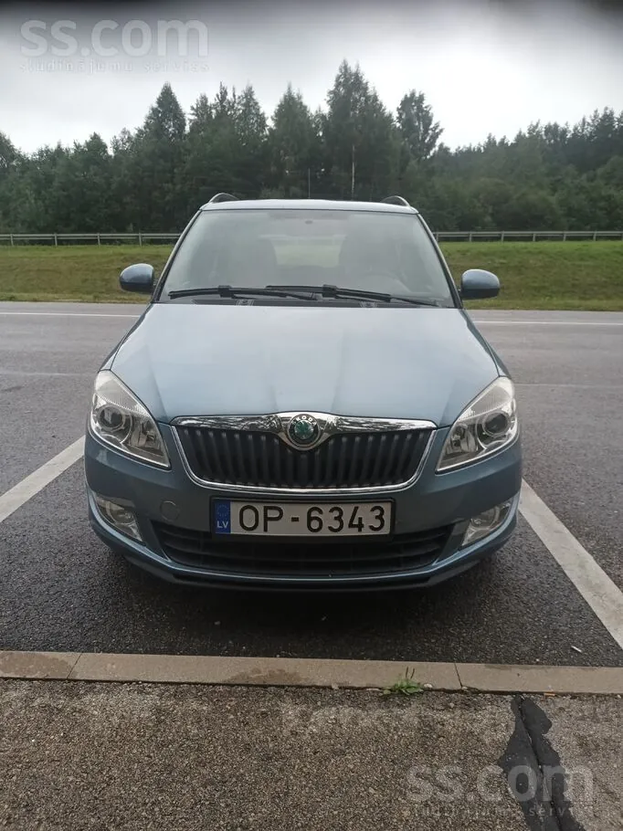Skoda Fabia 2010 photo 2
