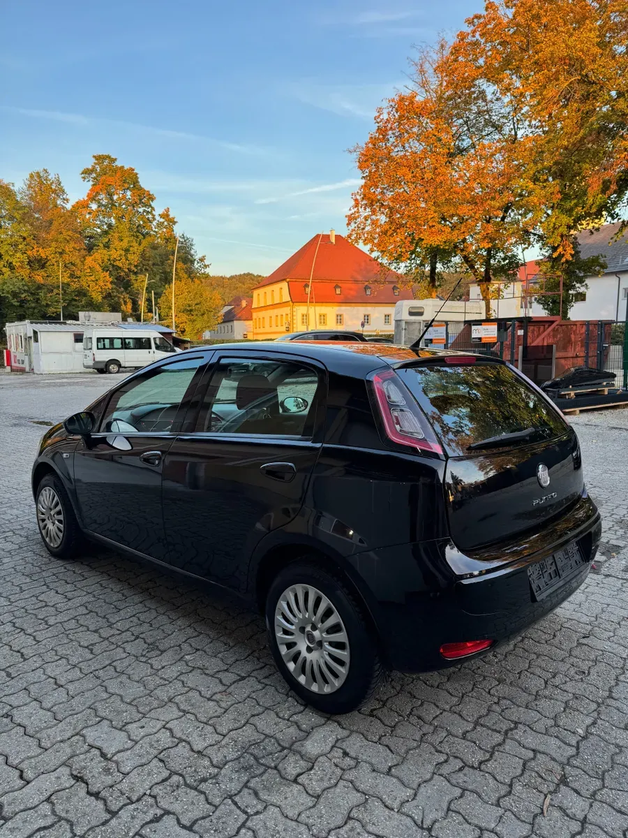 Fiat Punto 2011 photo 3