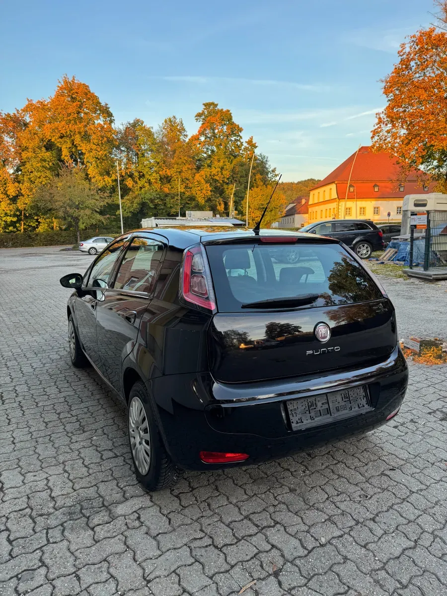 Fiat Punto 2011 photo 2