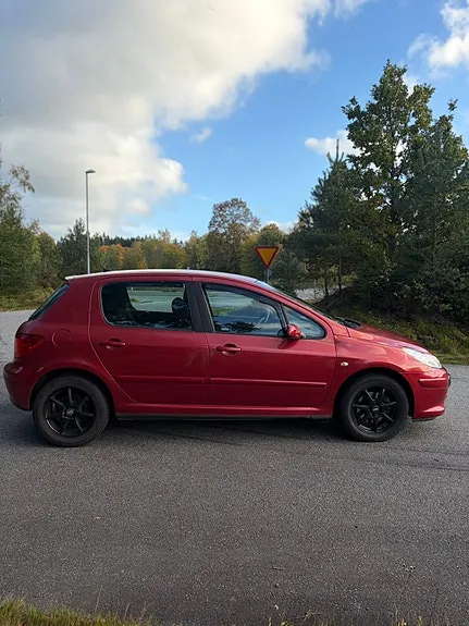 Peugeot 307 2006 photo 4