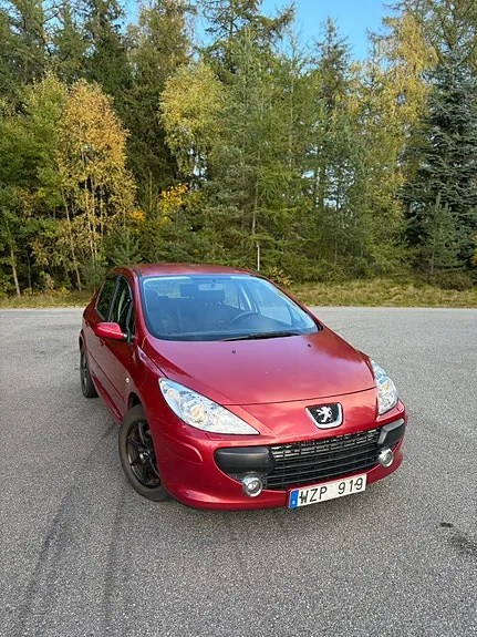 Peugeot 307 2006 photo 2