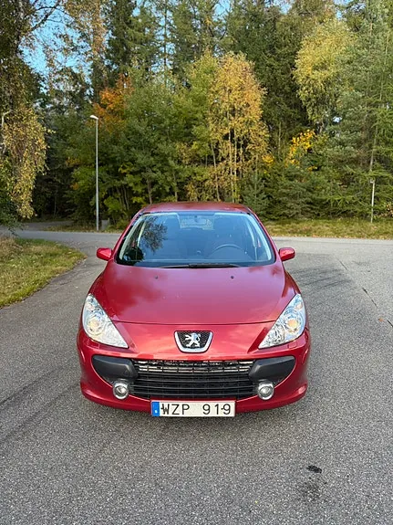 Peugeot 307 2006 photo 3