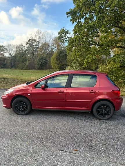 Peugeot 307 2006 photo 5