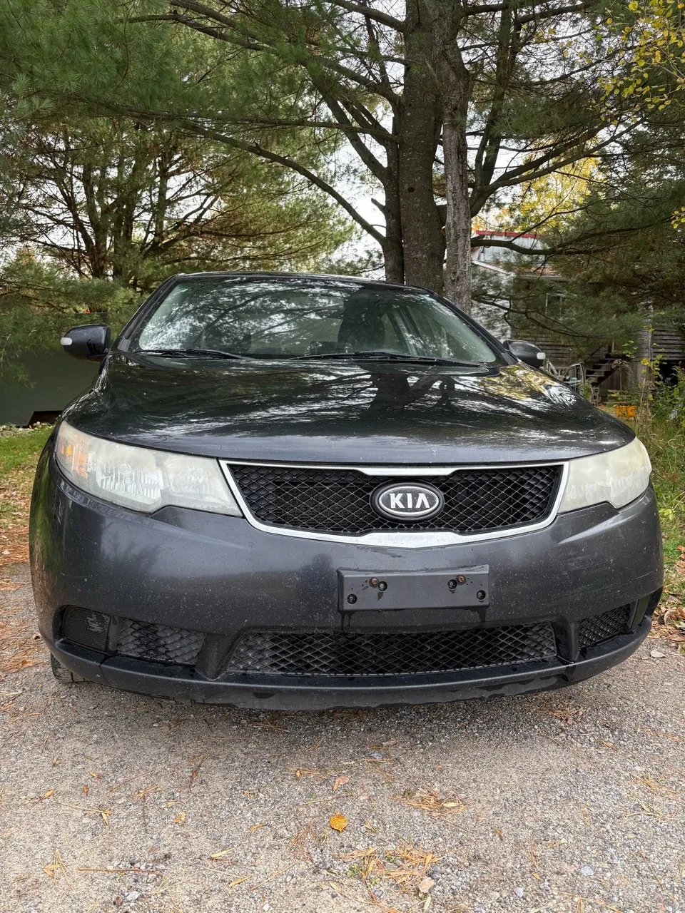 Kia Forte