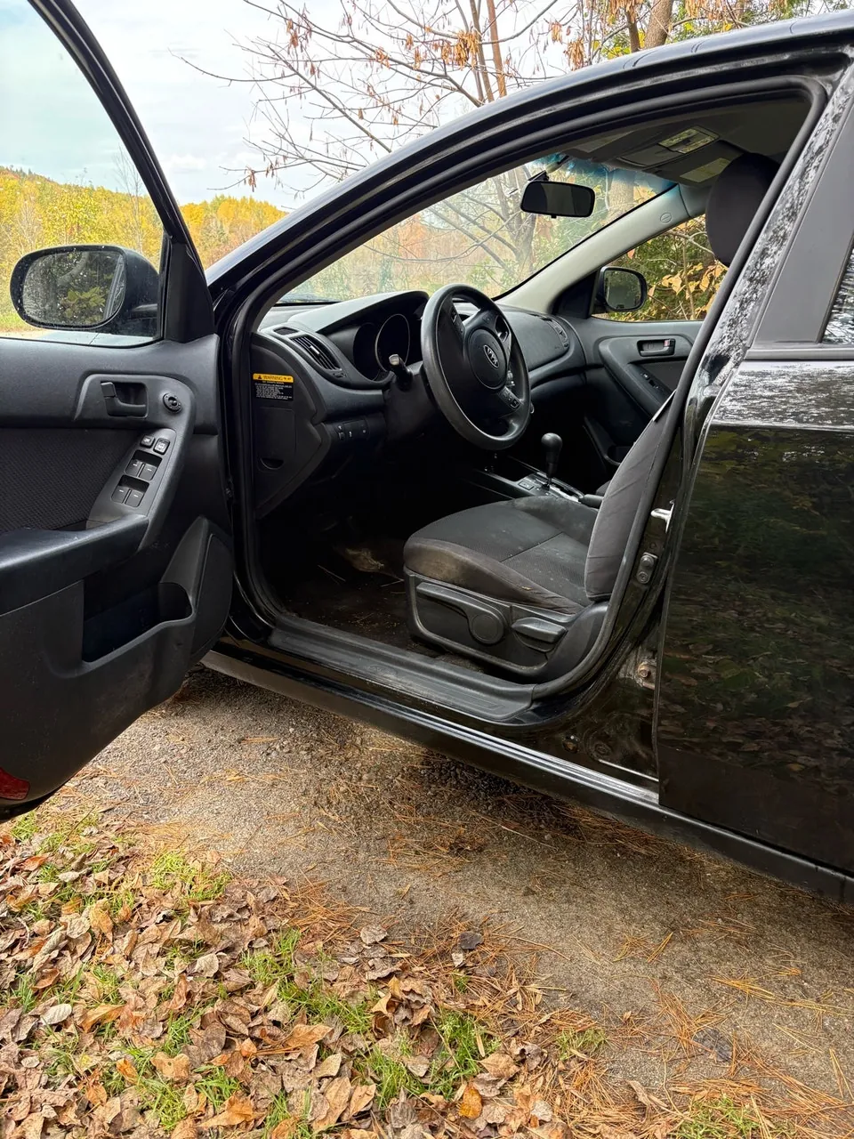 Kia Forte 2010 photo 4