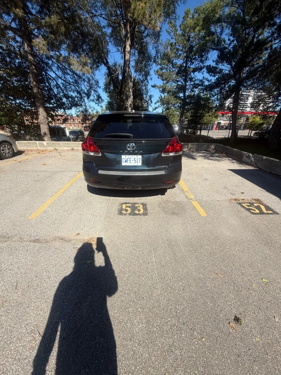 Toyota Venza 2014 photo 4