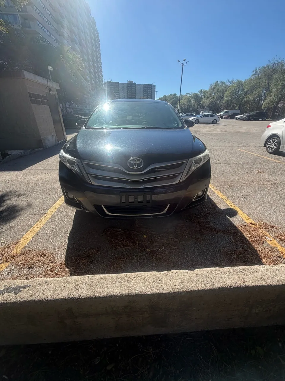 Toyota Venza 2014 photo 2