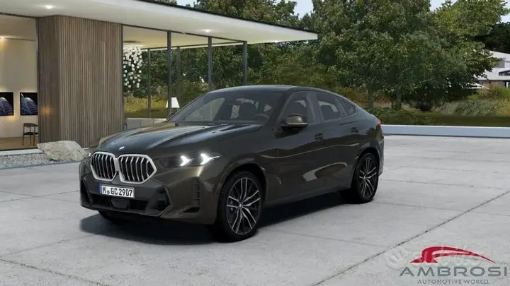 BMW X6