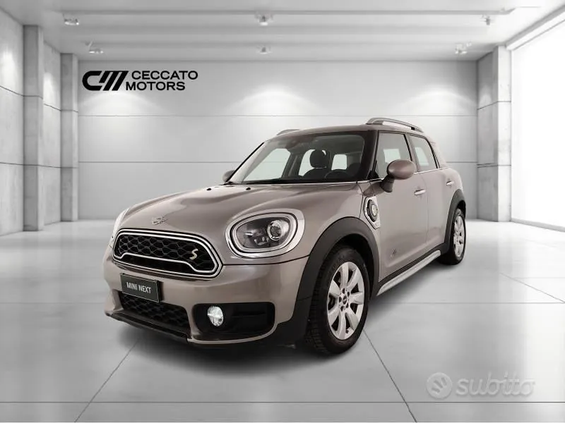 Mini Mini Countryman