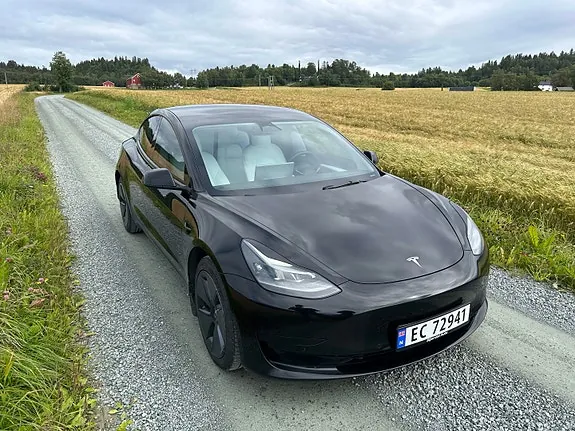 Tesla Model 3 2021 photo 2