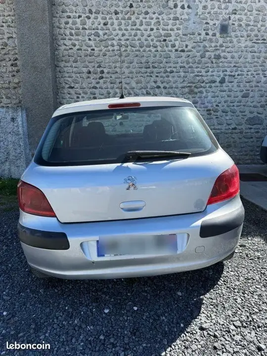 Peugeot 307 2002 photo 2