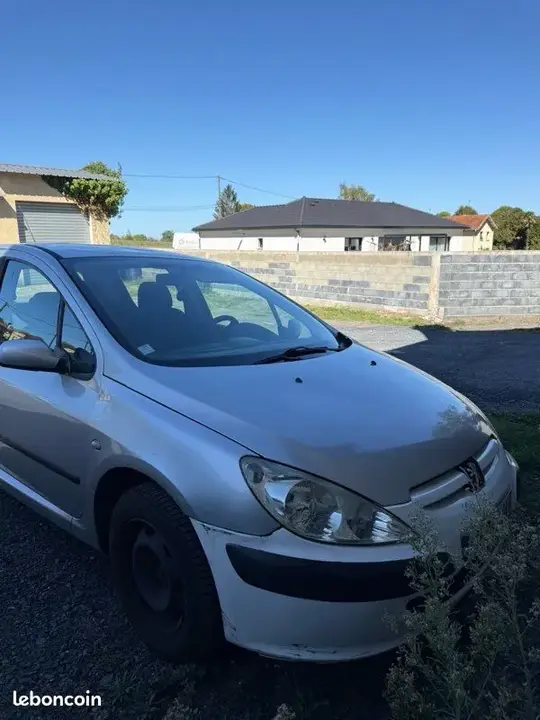 Peugeot 307