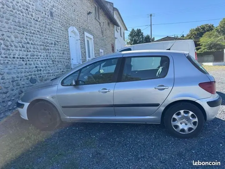 Peugeot 307 2002 photo 3