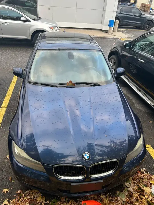 BMW 3 Series 2011 photo 5